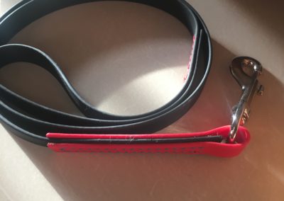 Biothane leashes