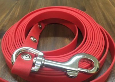 Biothane leashes
